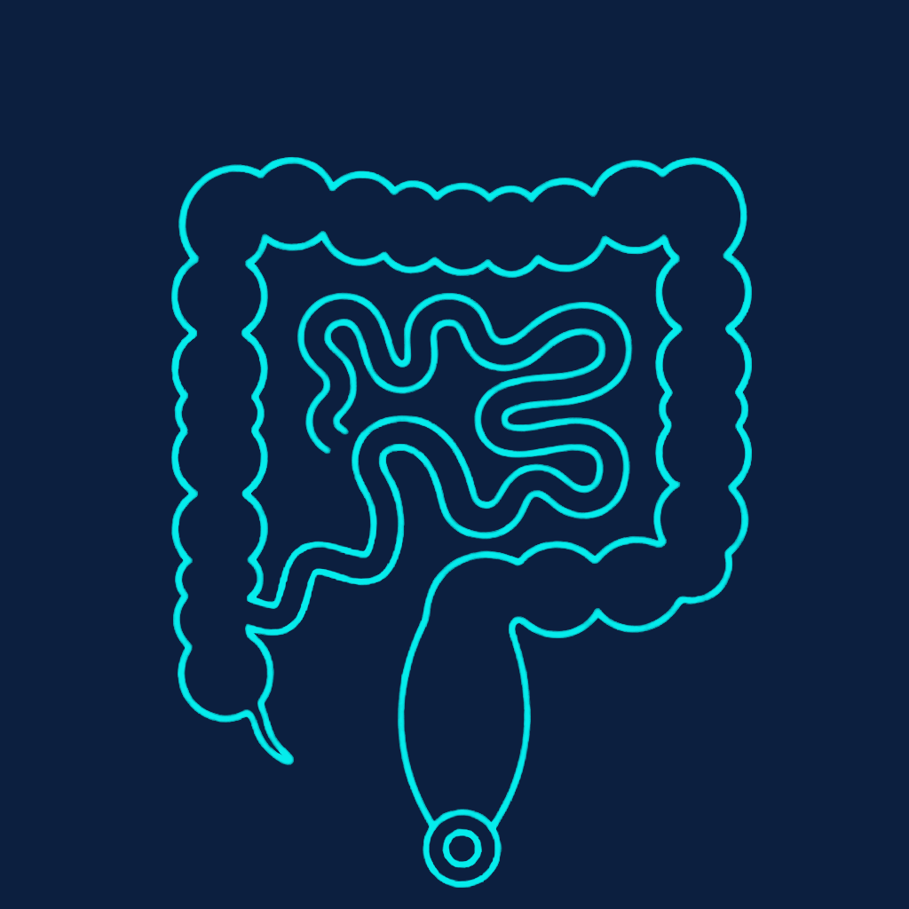 The inflammatory bowel disease gastrointestinal tract — jejunum, ileum, and terminal ileum of the small bowel; the appendix and cecum; and the colon from the right colon through the transverse and left colon to the sigmoid colon, rectum, and anus